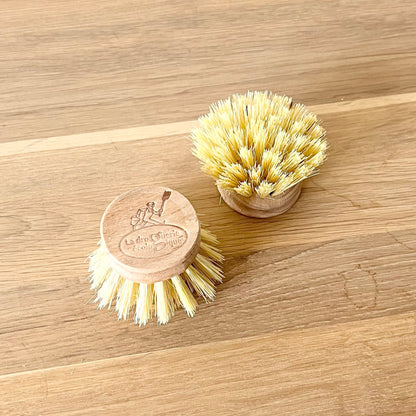 Recharge brosse vaisselle - Bois de hêtre et fibres naturelles