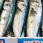 Les risques à connaître concernant la consommation de sardines en conserve