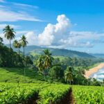 Découvrir le sri lanka : quelle est la période idéale pour un voyage inoubliable ?