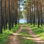 Découvrez des vacances inoubliables dans un camping à Saint-Jean-de-Monts !
