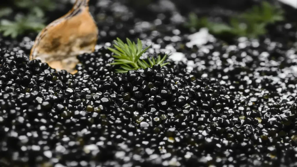 Les secrets du prix élevé du caviar : 6 explications fascinantes