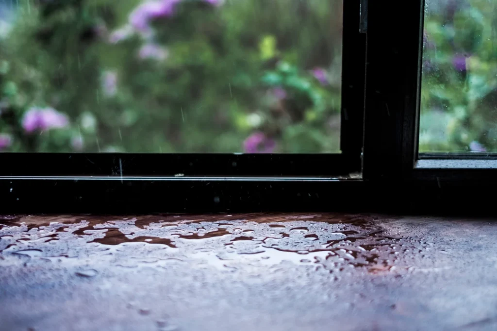 Humidité dans l’habitat : tout savoir sur le sujet