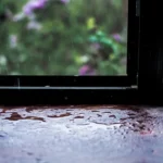 Humidité dans l’habitat : tout savoir sur le sujet