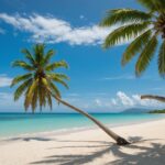 Cocos nucifera : Guide complet sur les caractéristiques, la culture et l’entretien du cocotier