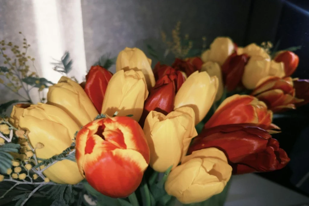 Planter des bulbes à floraison printanière : conseils pour un jardin coloré